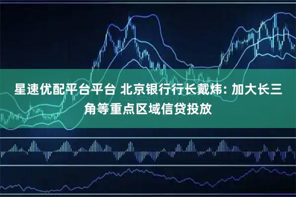 星速优配平台平台 北京银行行长戴炜: 加大长三角等重点区域信贷投放