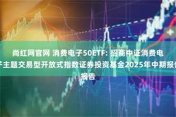 尚红网官网 消费电子50ETF: 招商中证消费电子主题交易型开放式指数证券投资基金2025年中期报告
