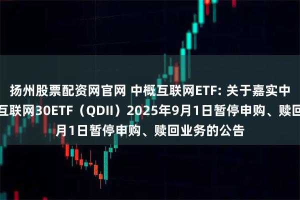 扬州股票配资网官网 中概互联网ETF: 关于嘉实中证海外中国互联网30ETF（QDII）2025年9月1日暂停申购、赎回业务的公告